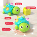 Baby Turtle Crawling Sensory Toy